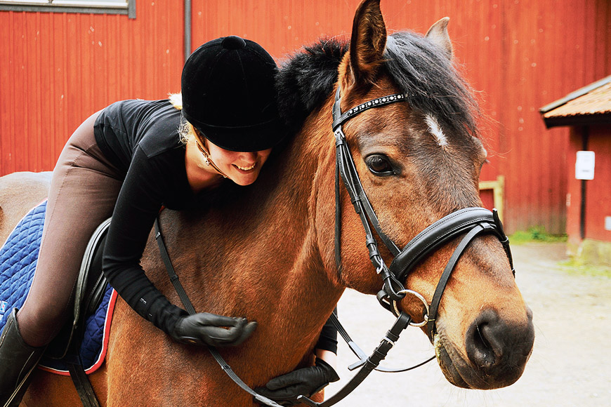 Hästen Surprise på Vigelsjö Ridskola