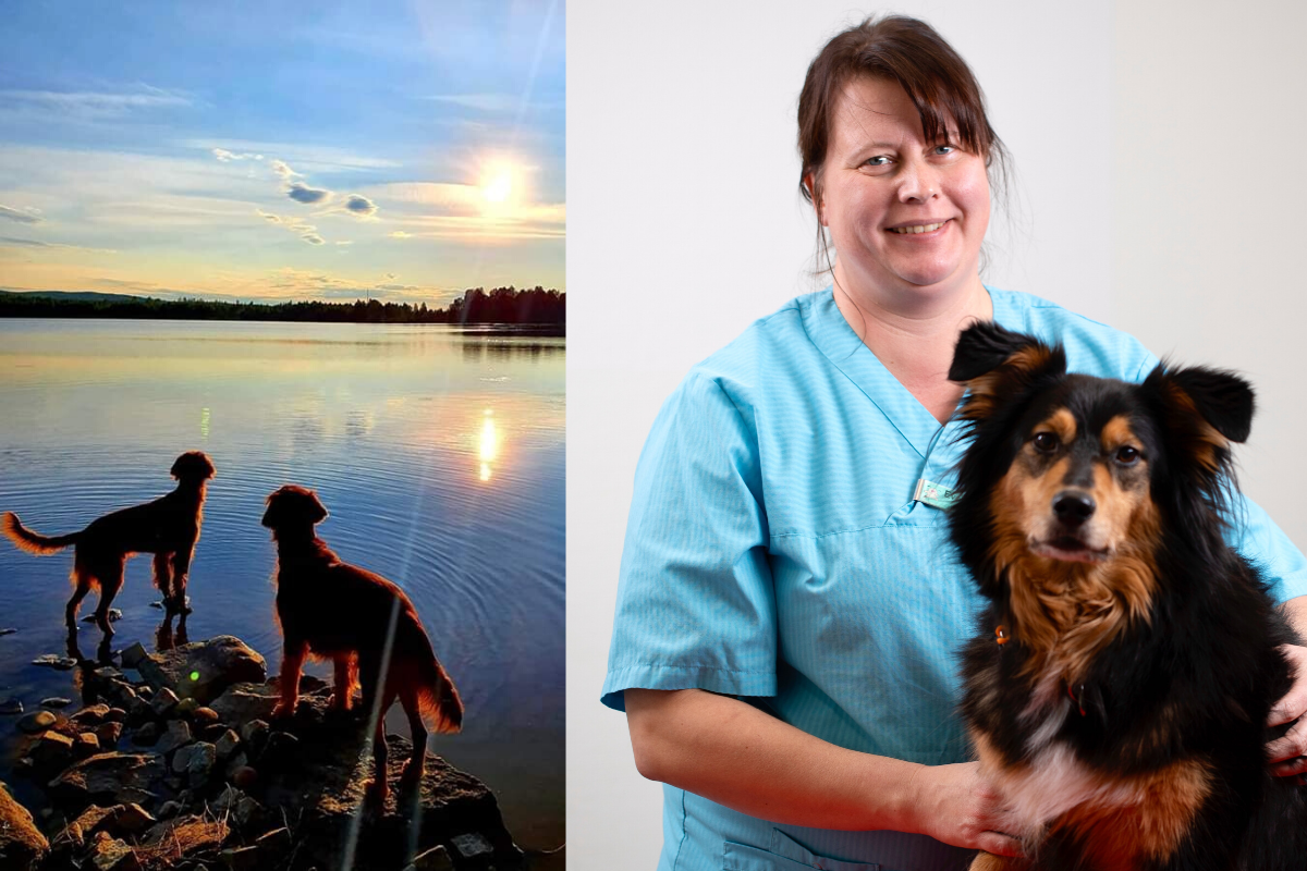 Eva Eriksson är veterinär på Smådjurskliniken i Hudiksvall och Ljusdal. Hon har arbetat på kliniken i 18 år och följt många djur genom hela deras liv, från födseln fram till slutet.